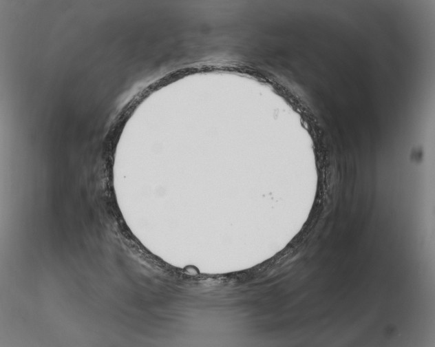 X0000115481160200912181202