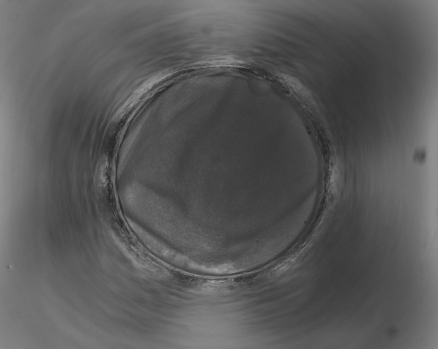 X0000115481161200912181202