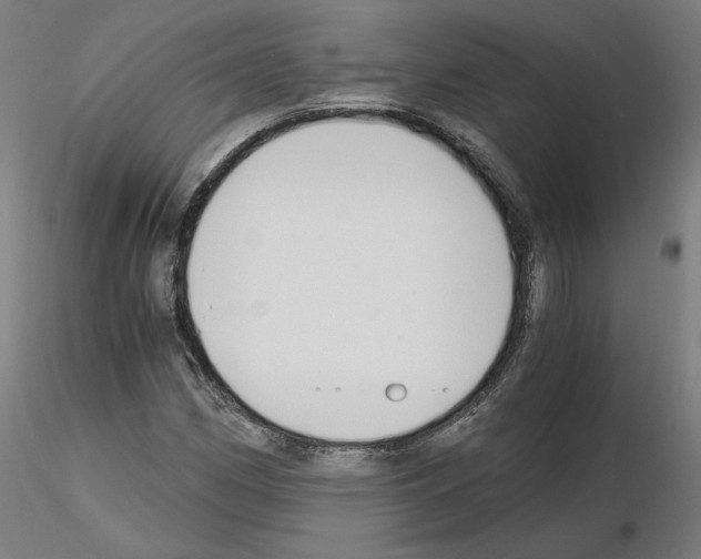X0000115481162200912181202