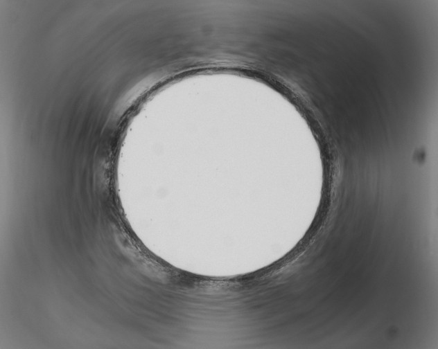X0000115481163200912181202