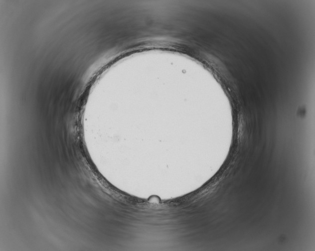 X0000115481164200912181202
