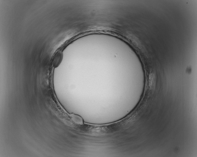 X0000115481165200912181202