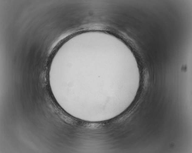 X0000115481166200912181202