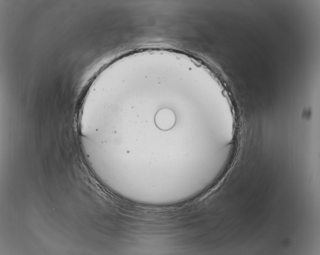 X0000115481167200912181202