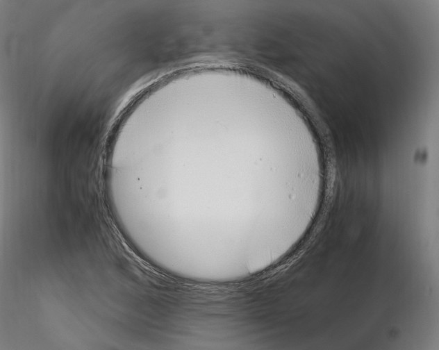 X0000115481168200912181202