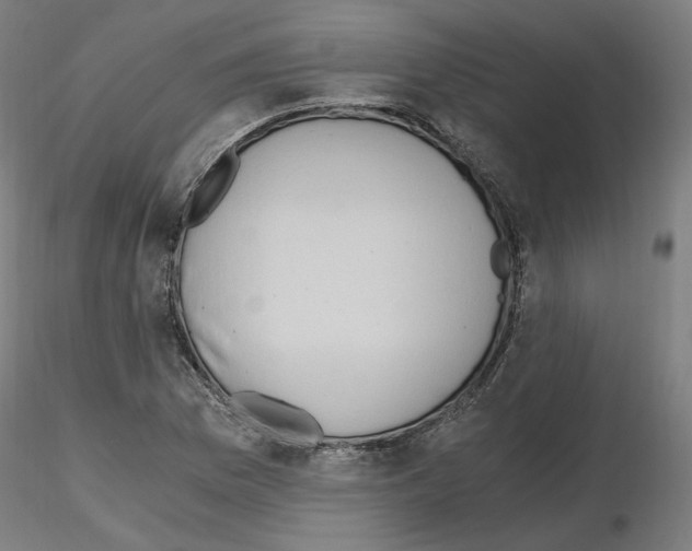 X0000115481169200912181202