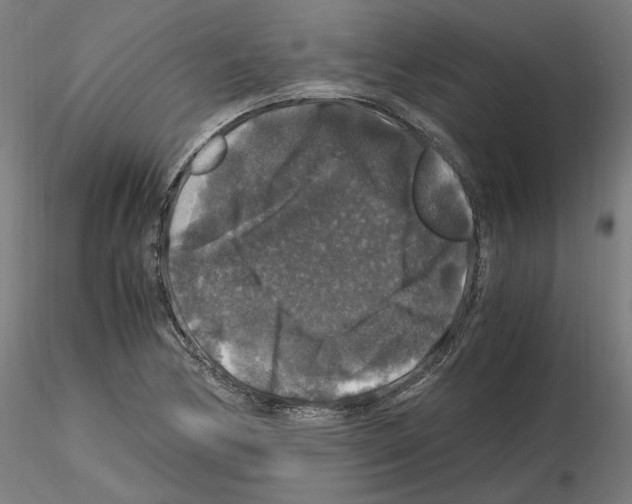 X0000115481170200912181202