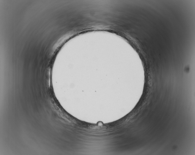 X0000115481171200912181202