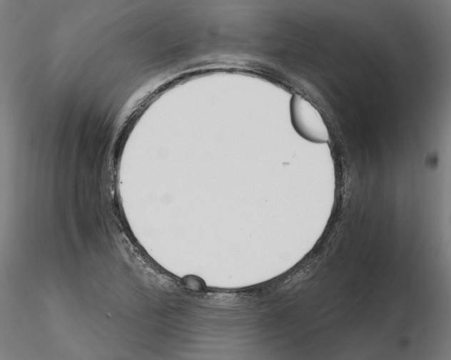 X0000115481172200912181202