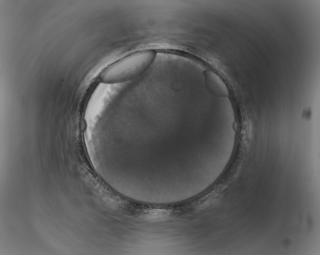 X0000115481173200912181202