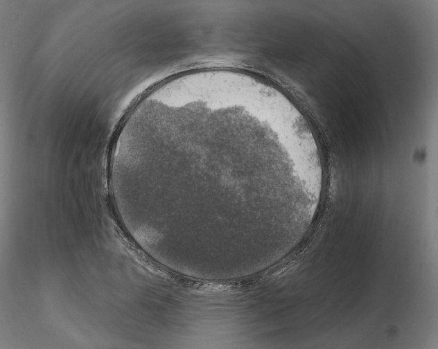 X0000115481174200912181202