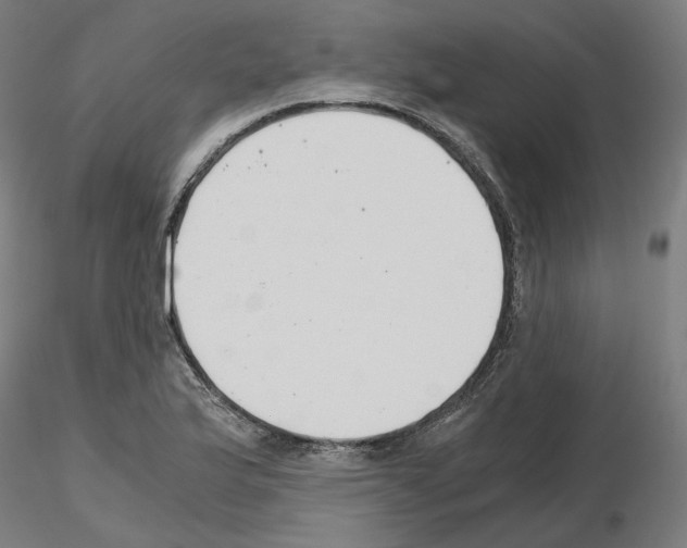 X0000115481175200912181202