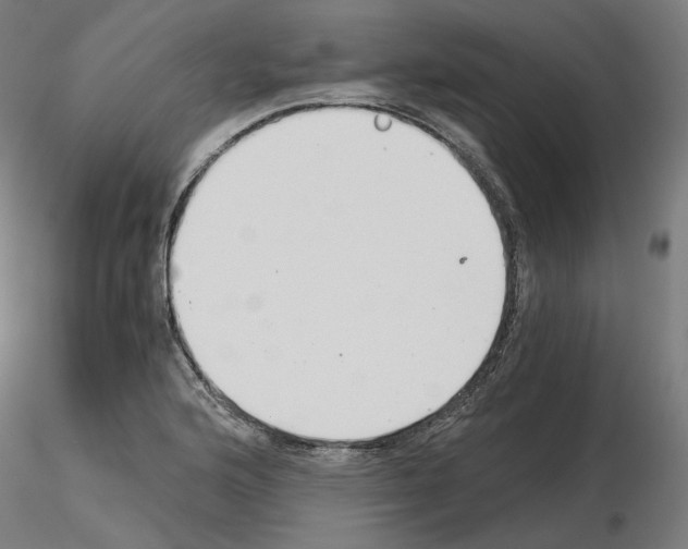X0000115481176200912181202
