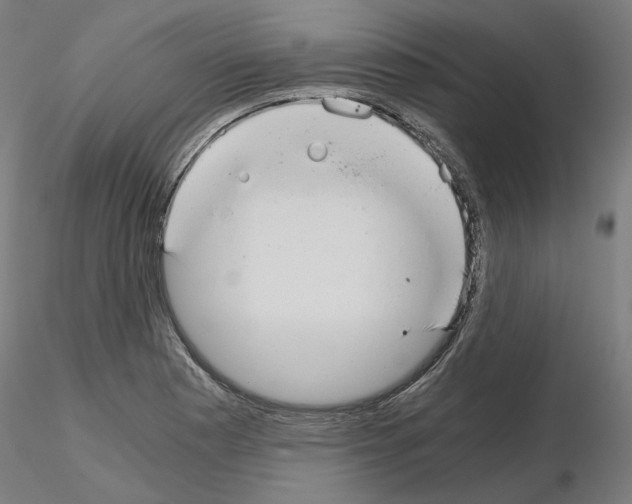 X0000115481177200912181202
