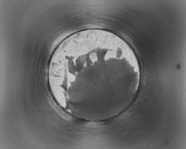 X0000115481179200912181202