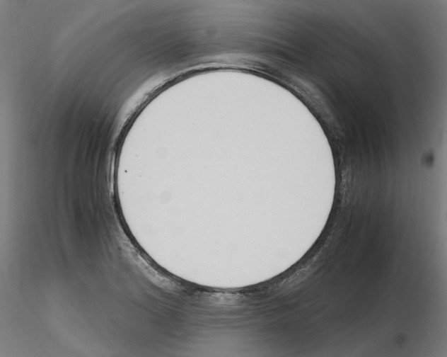 X0000115481180200912181202
