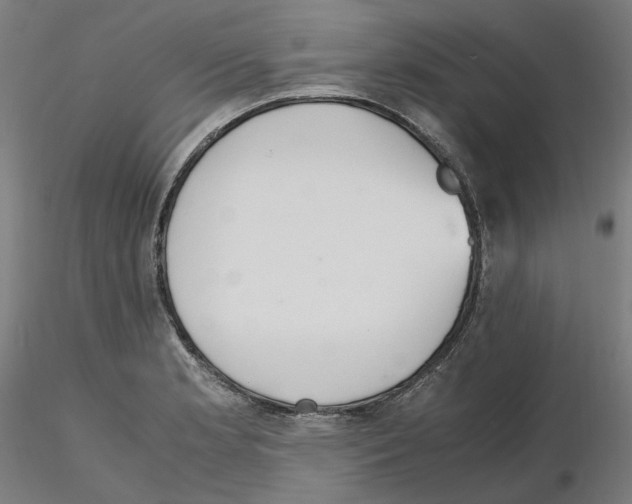 X0000115481181200912181202