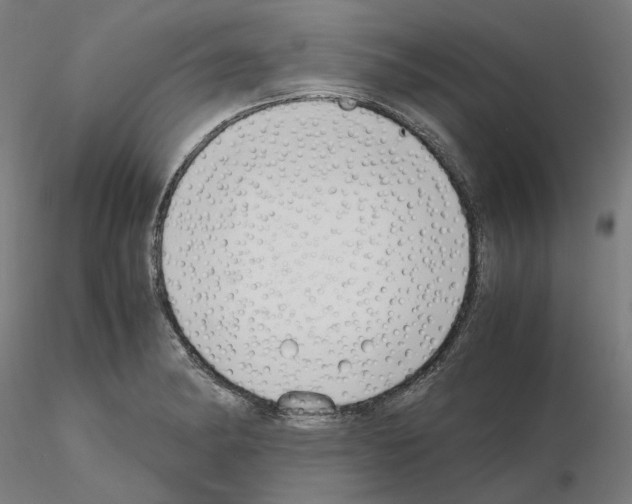 X0000115481182200912181202