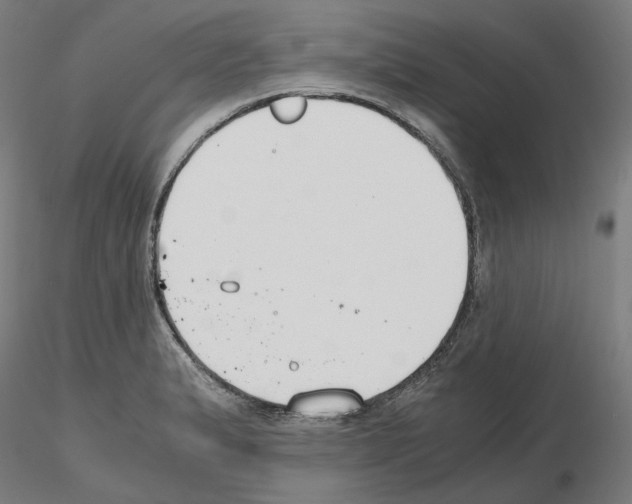 X0000115481183200912181202