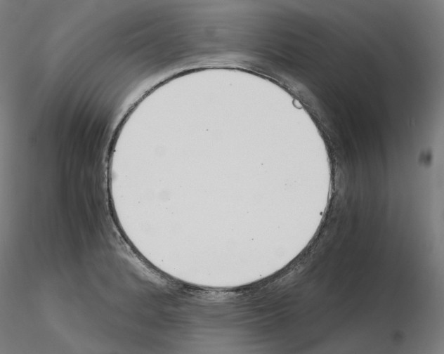 X0000115481184200912181202