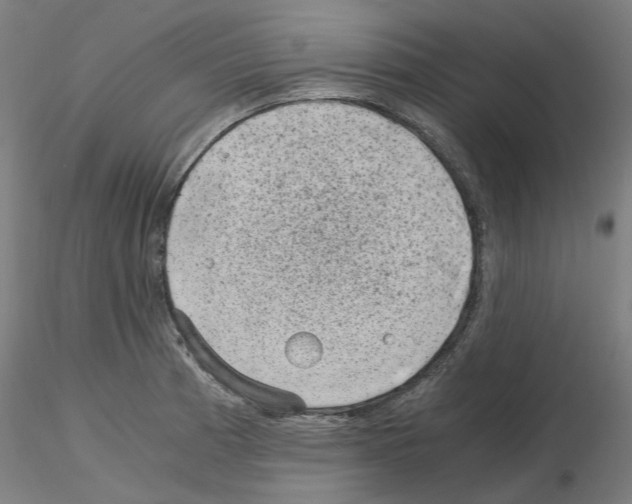 X0000115481185200912181202