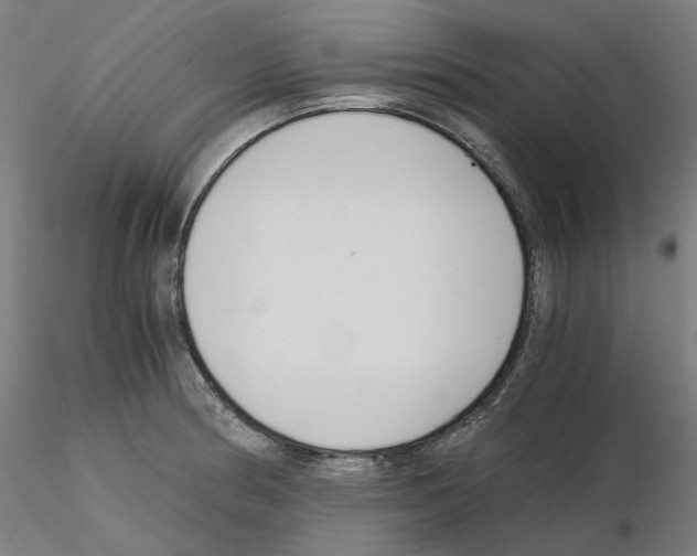 X0000115481186200912181202