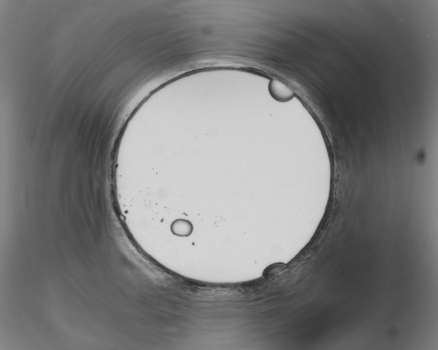 X0000115481187200912181202
