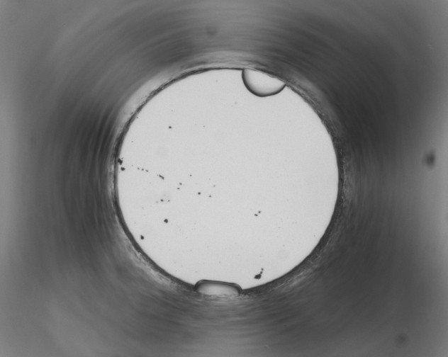 X0000115481188200912181202