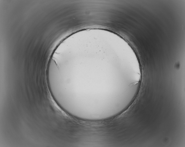 X0000115481189200912181202