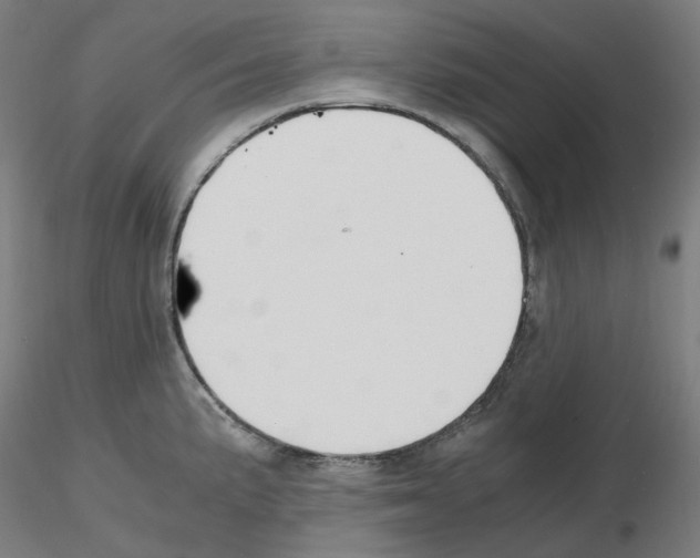 X0000115481191200912181202