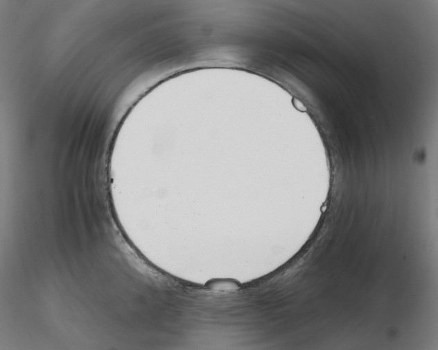 X0000115481192200912181202