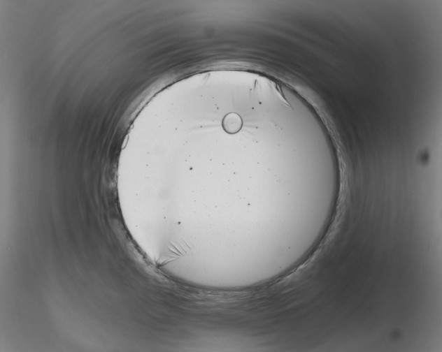 X0000115481193200912181202