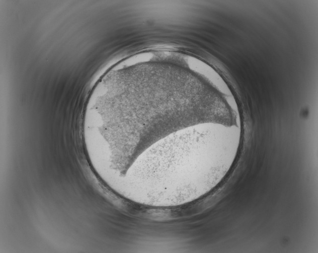 X0000115481194200912181202