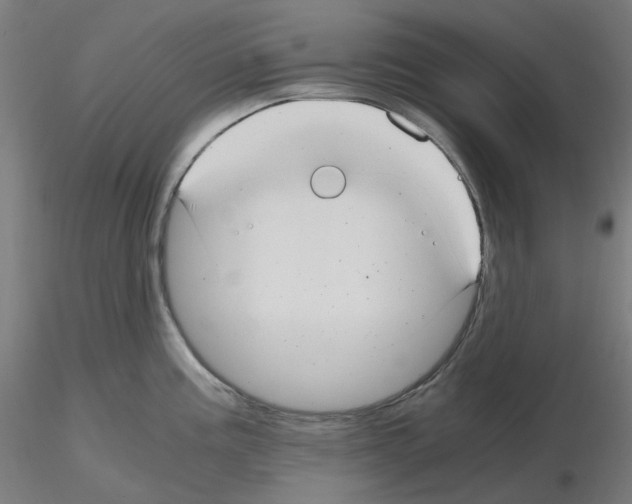 X0000115481195200912181202