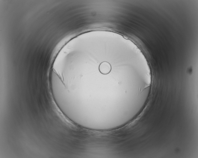 X0000115481196200912181202