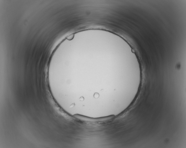 X0000115481198200912181202