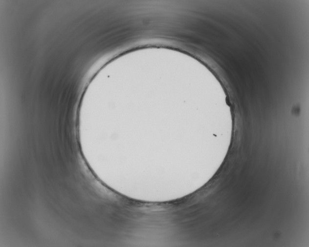 X0000115481199200912181202