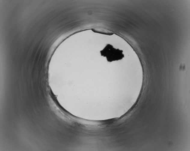 X0000115481200200912181202