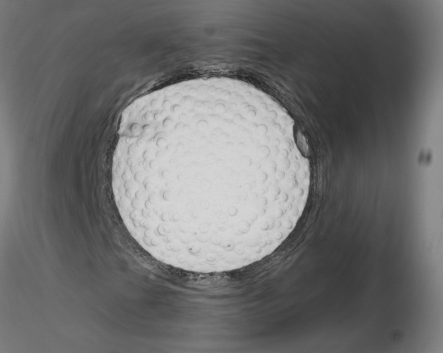 X0000115481201200912181201