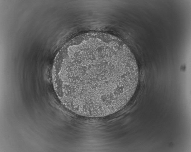 X0000115481202200912181201
