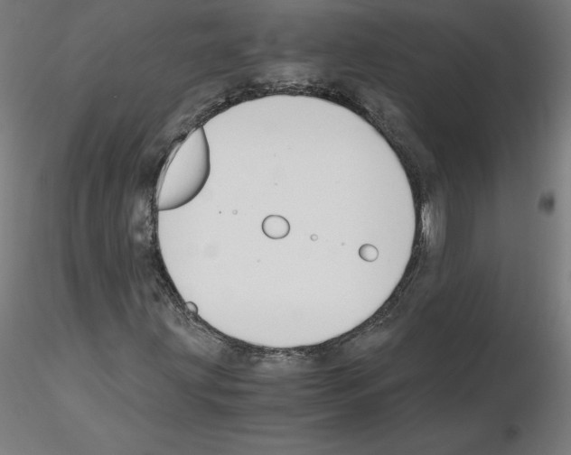 X0000115481203200912181201