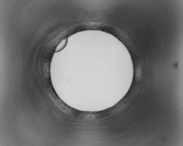 X0000115481204200912181201
