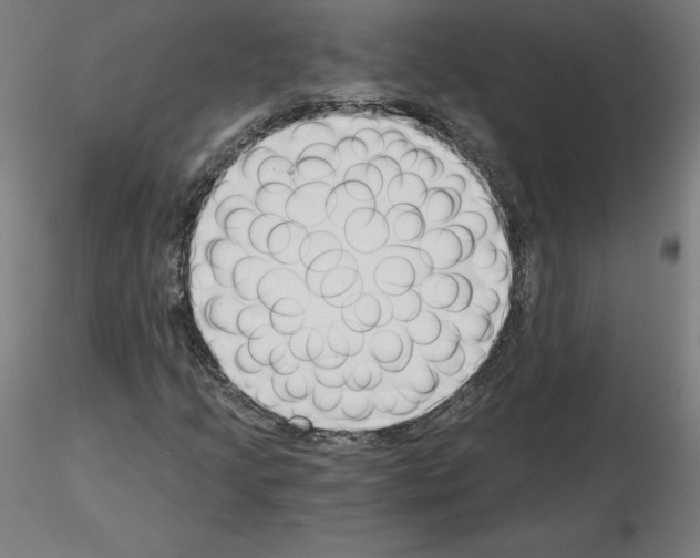 X0000115481205200912181201