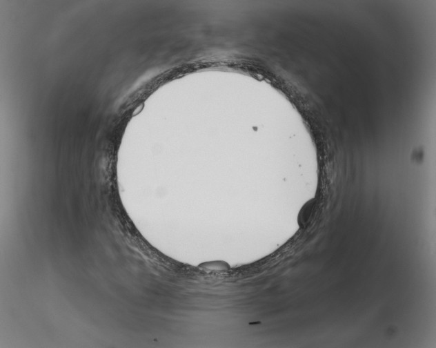 X0000115481206200912181201