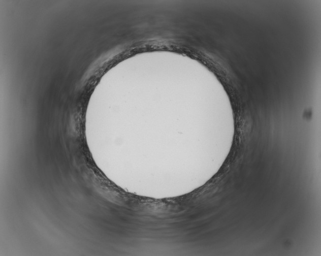 X0000115481207200912181201