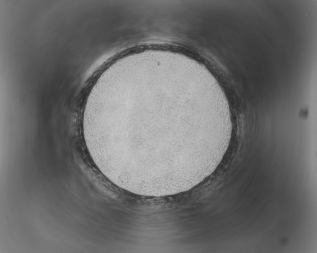X0000115481208200912181201