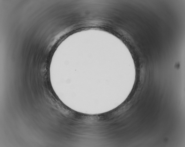 X0000115481210200912181201