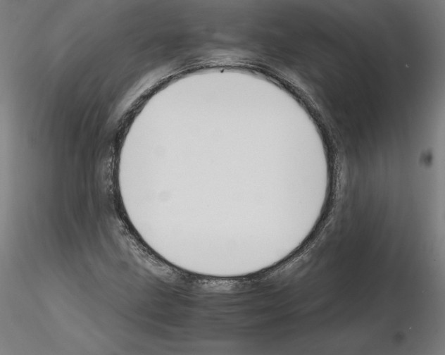 X0000115481211200912181201