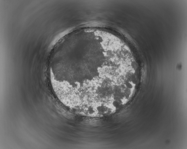 X0000115481213200912181201