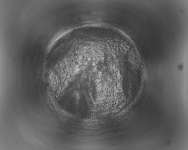 X0000115481215200912181201